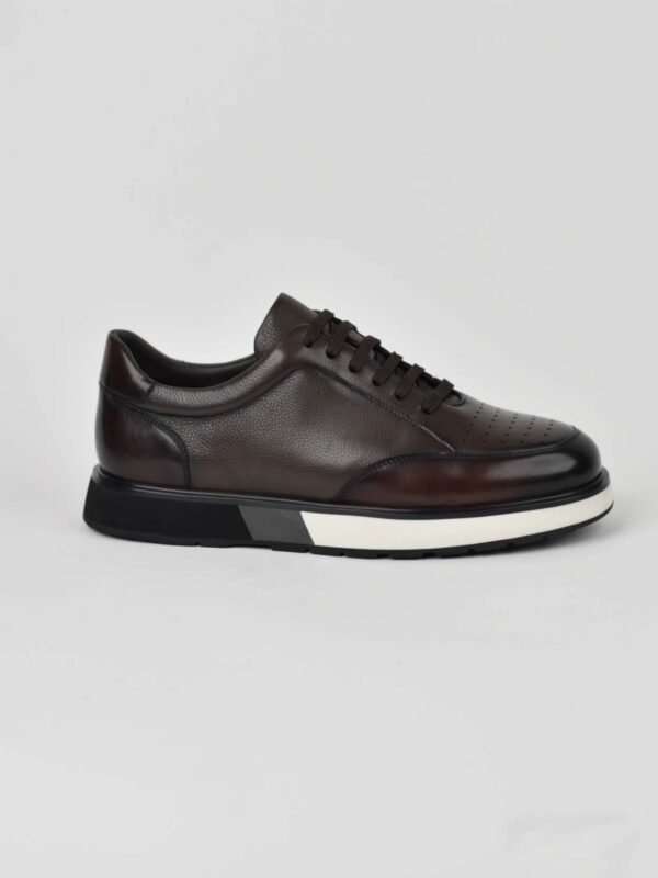 Brown Linea Fusione Z-031-2